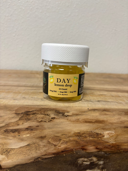 Day Gummy 10ct